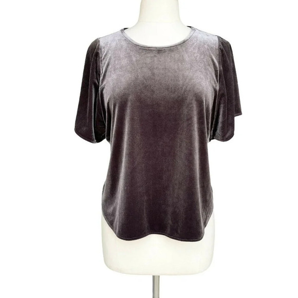 MADEWELL Women’s Size M Espresso Velvet Short Sleeve Blouse - Picture 1 of 2
